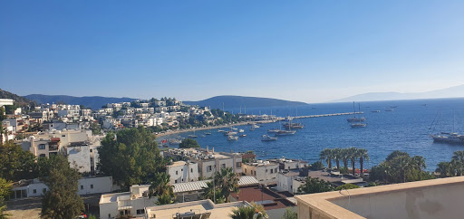 Dört Mevsim Pansiyon