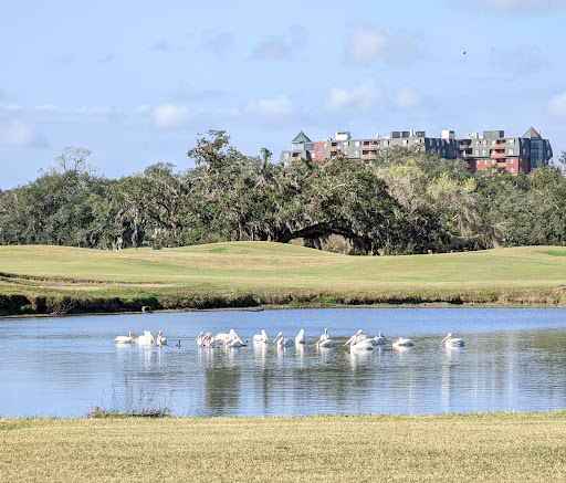 Golf Course «Audubon Park Golf Course», reviews and photos, 6500 Magazine St, New Orleans, LA 70118, USA