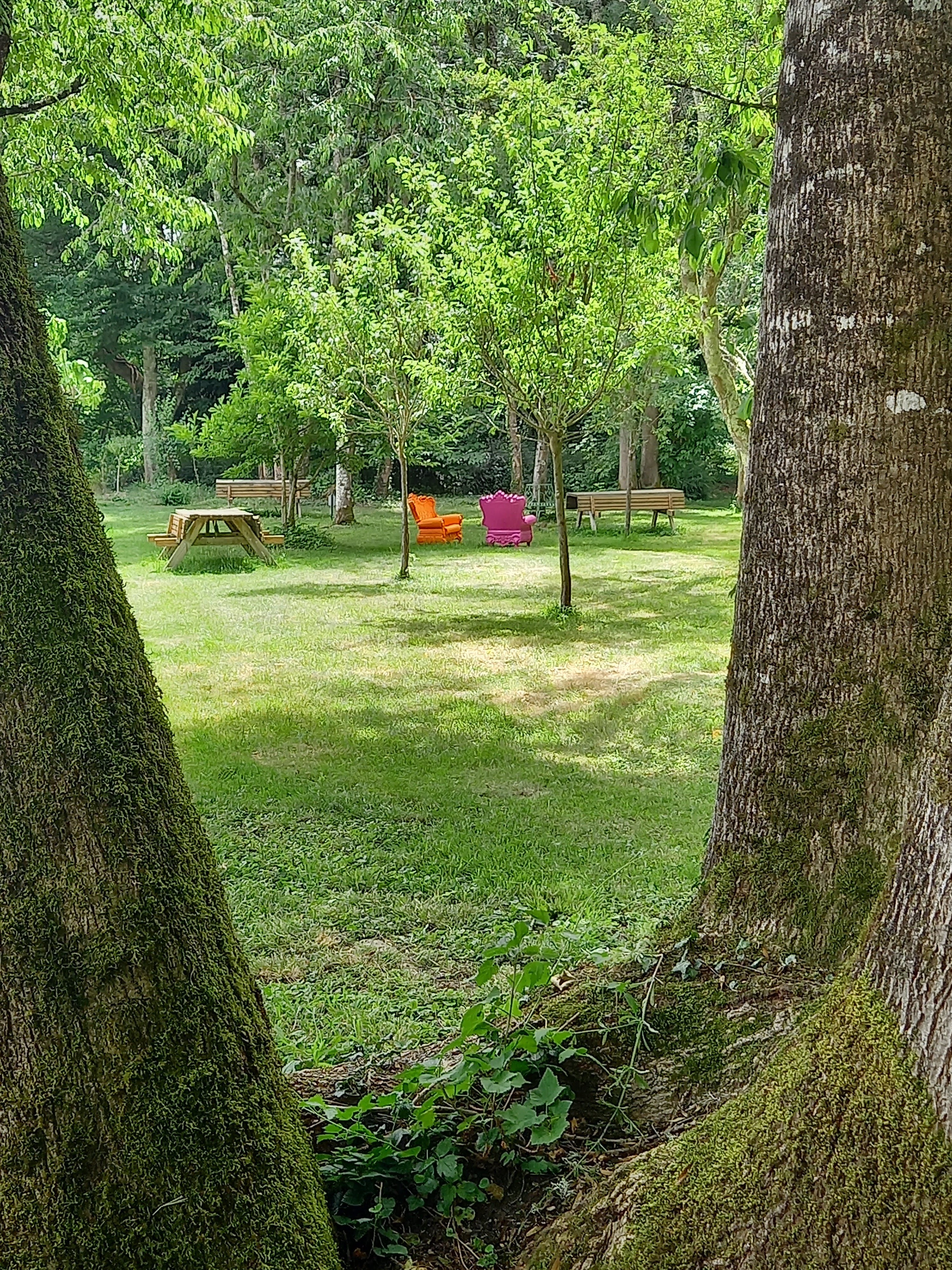 Photo n° 24 de l'avis de Domie.a fait le 21/06/2022 à 14:32