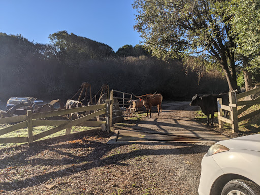 Bed & Breakfast «Point Reyes Vineyards», reviews and photos, 12700 Shoreline Hwy, Point Reyes Station, CA 94956, USA