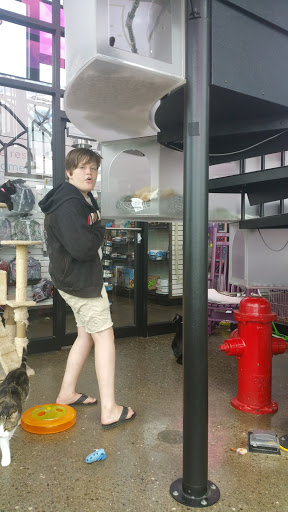 Animal Shelter «One of A Kind Pet Rescue», reviews and photos, 1929 W Market St, Akron, OH 44313, USA