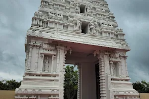 Sri Venkateswara Temple of Austin image