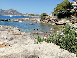 Playa Cala Conills'in fotoğrafı - rahatlamayı sevenler arasında popüler bir yer