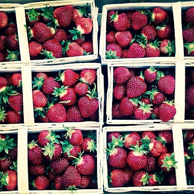Photos of Arnika-Agro