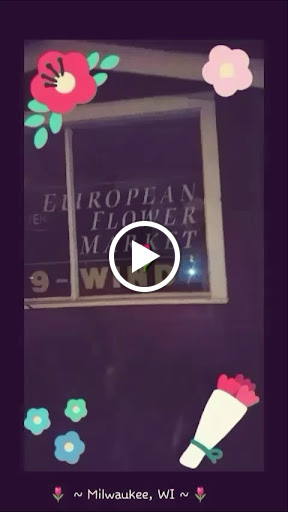 Florist «Tulipomania LLC», reviews and photos, 319 E Howard Ave, Milwaukee, WI 53207, USA