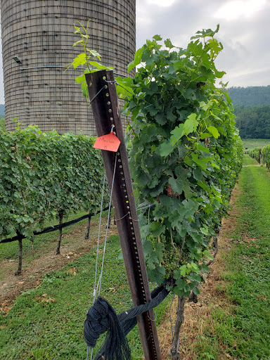 Winery «Doukenie Winery», reviews and photos, 14727 Mountain Rd, Purcellville, VA 20132, USA