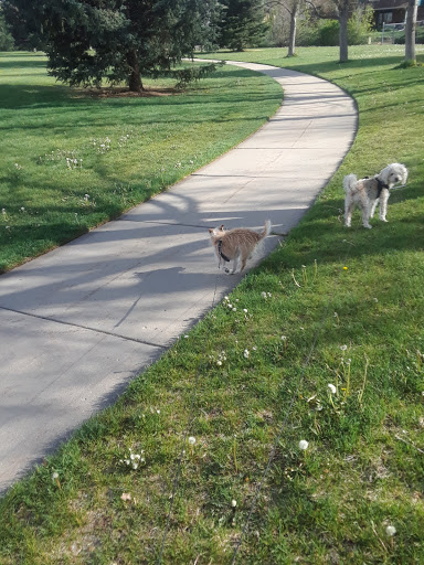 Park «Hilltop Park», reviews and photos, 3242 S Richfield St, Aurora, CO 80013, USA