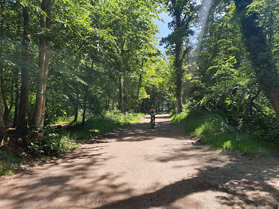 Forêt de Grimbosq - Parking La Flague à Grimbosq