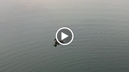 Park «Spring Lake Park», reviews and photos, 396 Springlake Ln, Aurora, IL 60504, USA