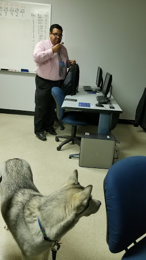 Pet Supply Store «At Your Services Pet Supplies», reviews and photos, 55 S Valle Verde Dr #300, Henderson, NV 89012, USA