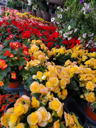 Hardware Store «Westlake Ace Hardware 026», reviews and photos, 5001 SW 29th St, Topeka, KS 66614, USA