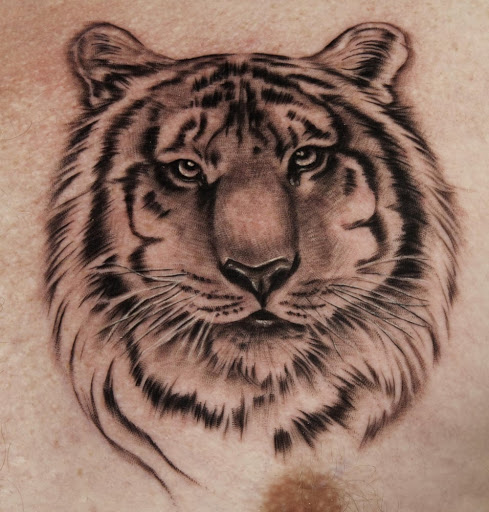 Explore stairway to heaven tattoo ideas, creative tattoo ideas in Reno, available at Stingray Tattoo supplies