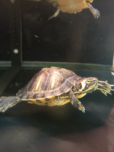 Pet Supply Store «Petco Animal Supplies», reviews and photos, 7040 Valley Creek Plaza, Woodbury, MN 55125, USA