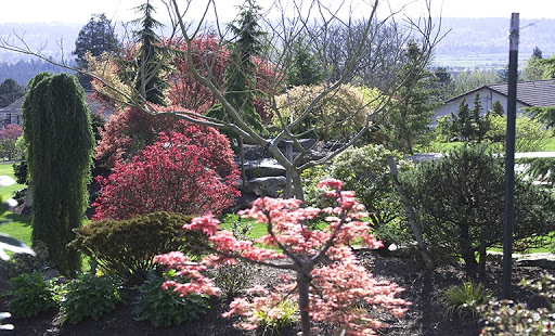 Wedding Venue «Olympic View Estates», reviews and photos, 8005 30th St SE, Lake Stevens, WA 98258, USA