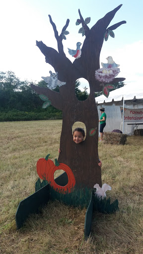 Nature Preserve «Norman Bird Sanctuary», reviews and photos, 583 3rd Beach Rd, Middletown, RI 02842, USA