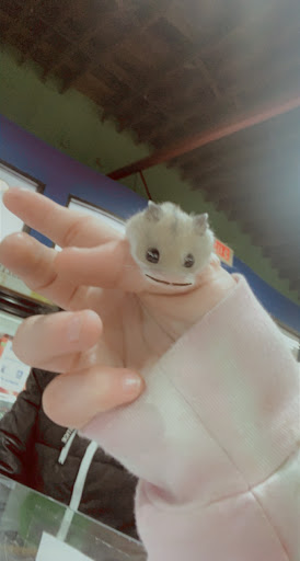 Pet Store «Pets Plus - Lansdale», reviews and photos, 555 S Broad St, Lansdale, PA 19446, USA