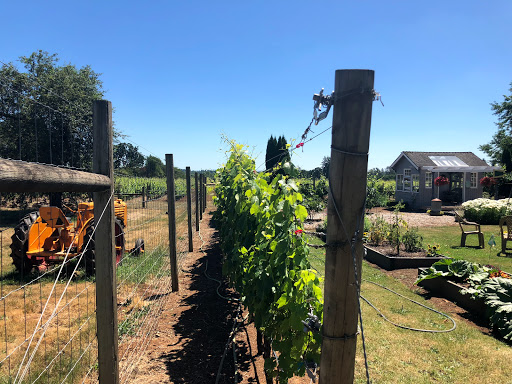 Winery «Piluso Vineyard», reviews and photos, 6654 Shaw Hwy SE, Aumsville, OR 97325, USA