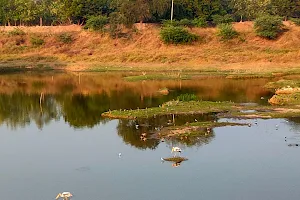 Ankodia lake image