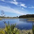 Wattle Farm Ponds Reserve