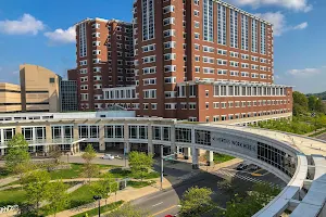 Albert B. Chandler Hospital image