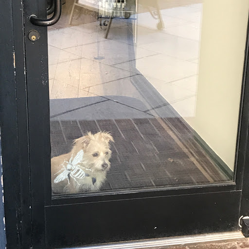 Beauty Salon «Eclipse Salon», reviews and photos, 16 Wall St, Asheville, NC 28801, USA