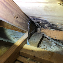 iMold Cleaning & Restoration - Water Damage and Mold Removal Specialists - Photo 5 - Car repair in Fort Myers, FL, Lehigh Acres