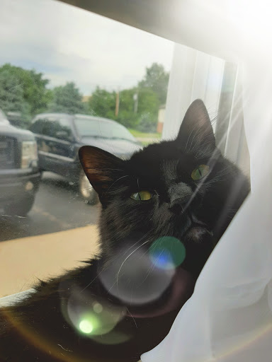 Pet Supply Store «Petco Animal Supplies», reviews and photos, 6137 Mid Rivers Mall Dr, St Charles, MO 63304, USA