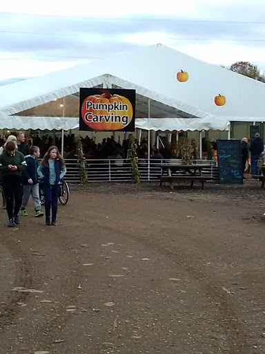 Sunnyfields Farm Shop Southampton