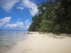 Photo de Orange Beach avec un rivage spacieux
