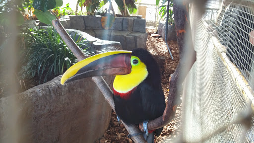 Aquarium «Loveland Living Planet Aquarium», reviews and photos, 12033 Lone Peak Pkwy, Draper, UT 84020, USA