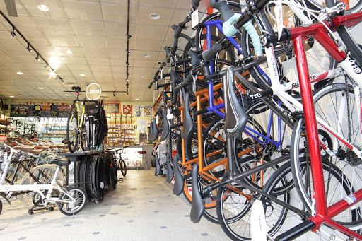 Bicycle Store «DASH Bicycle Shop», reviews and photos, 228 Broadway, Providence, RI 02903, USA