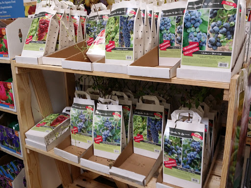 Home Improvement Store «The Home Depot», reviews and photos, 399 William Floyd Pkwy, Shirley, NY 11967, USA