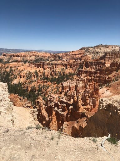 Gym «Hurricane Boxing Gym», reviews and photos, 6600 32nd Ave S, Tampa, FL 33619, USA