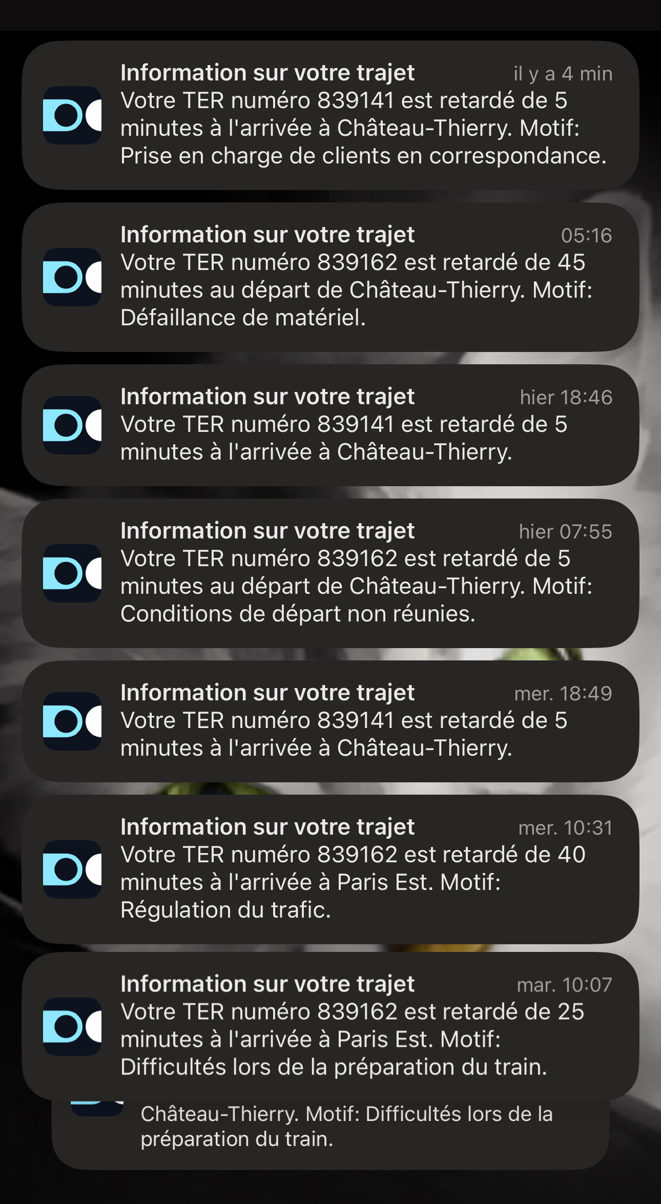 Photo n° 1 de l'avis de Jeanne.u fait le 10/11/2023 à 17:57
