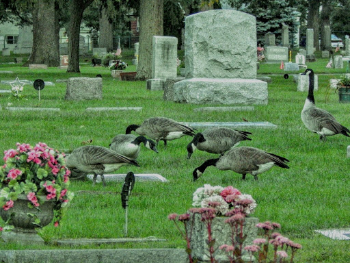 Fairplains Cemetery