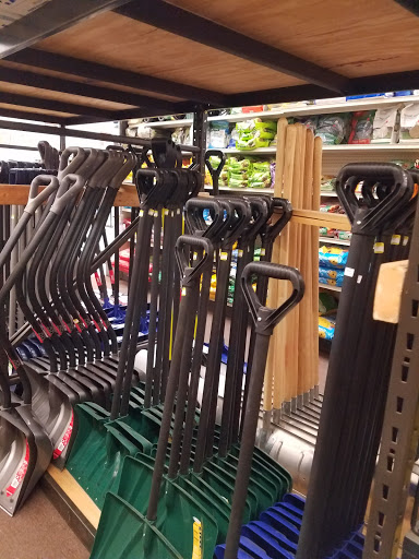 Home Improvement Store «Everydays True Value», reviews and photos, 797 Foote Ave, Jamestown, NY 14701, USA