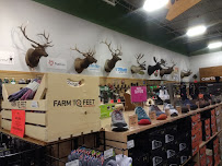 Sportsman's Warehouse - Photo 6 - Car repair in Logan, UT, Logan