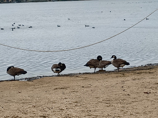 Park «Paulus Park», reviews and photos, 200 S Rand Rd, Lake Zurich, IL 60047, USA