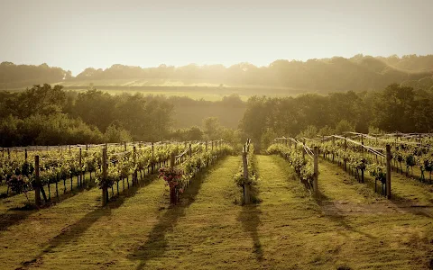 Bluebell Vineyard Estates Ltd image