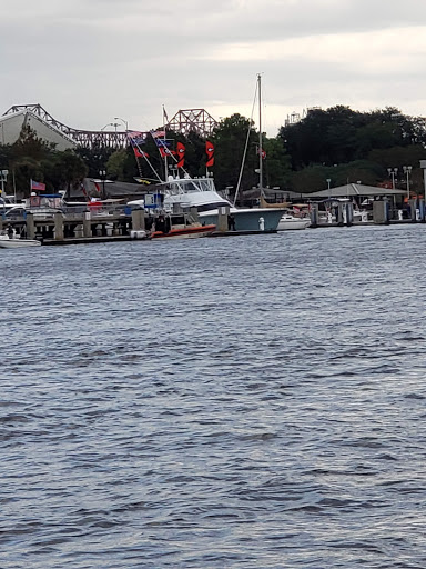 American Football Field «EverBank Field», reviews and photos, 1 Everbank Field Dr, Jacksonville, FL 32202, USA