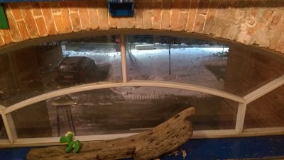 Photos of Ro-Ro Art Club