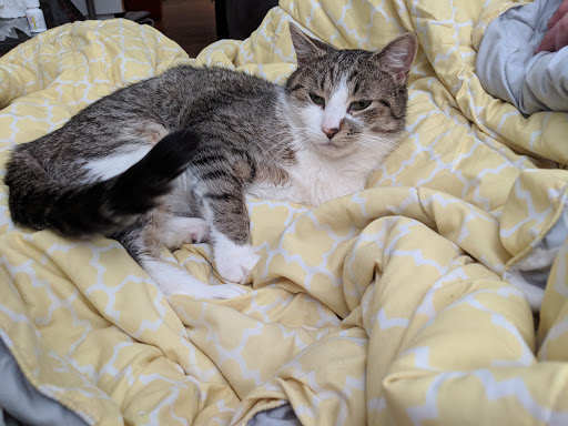 Pet Supply Store «Pet Supplies Plus», reviews and photos, 625 Southern Artery, Quincy, MA 02169, USA