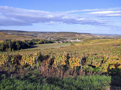 Champagne Piot-Lefèvre à Festigny