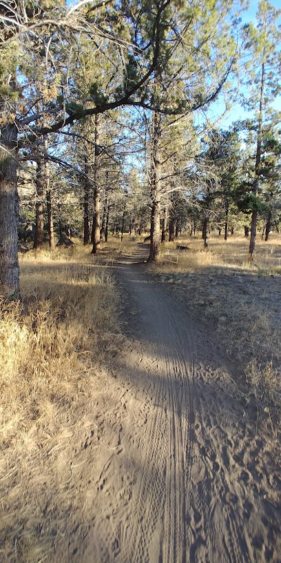 Dry Canyon Park & Trail System