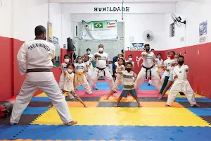 Space TAEKWONDO (Associação Lapense de Taekwondo) image