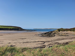 West Angle beach'in fotoğrafı çok temiz temizlik seviyesi ile