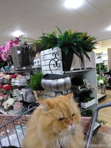 Department Store «HomeGoods», reviews and photos, 3320 NW 62nd Ave, Margate, FL 33063, USA