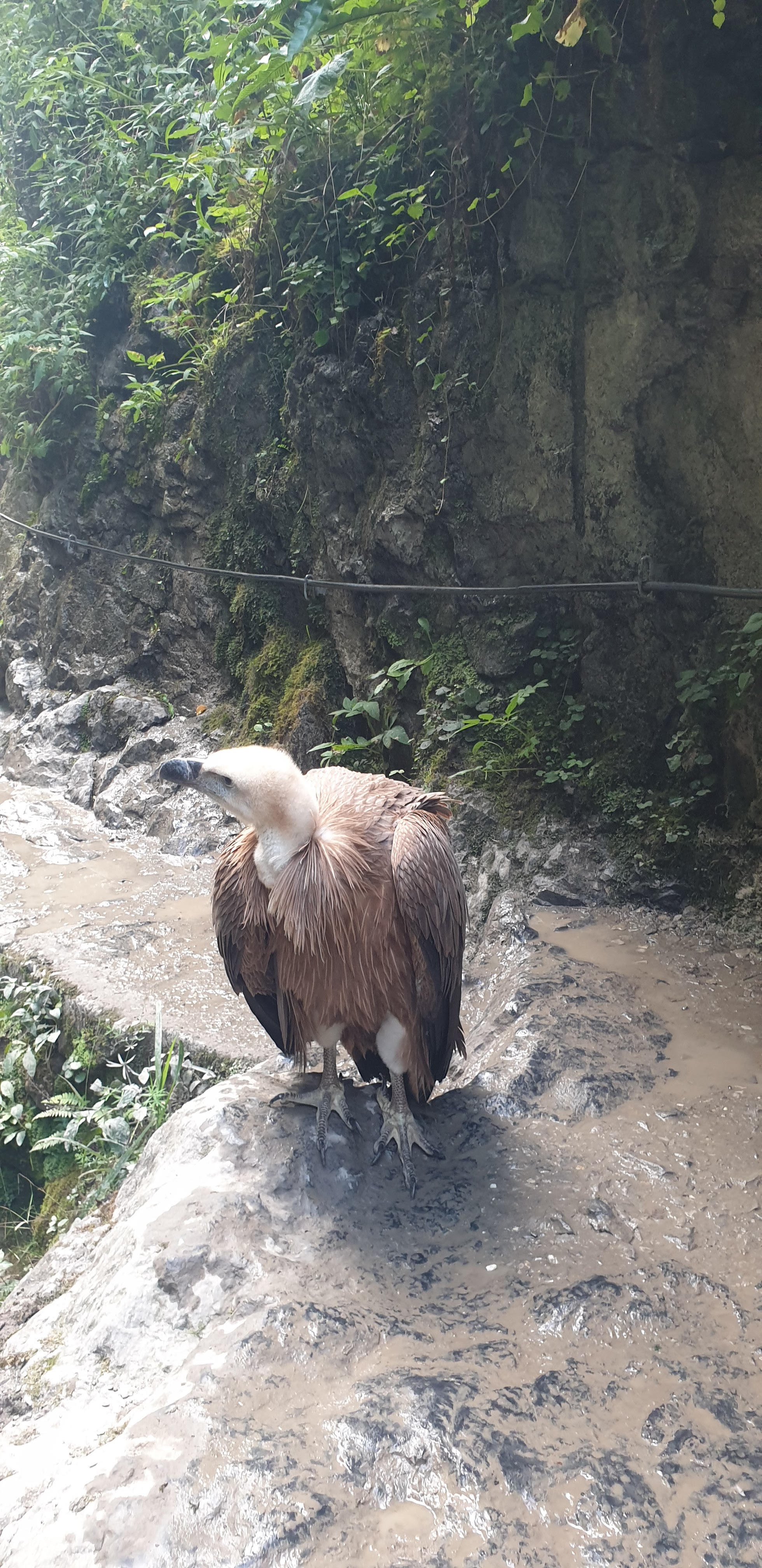 Photo n° 3 de l'avis de Guy.o fait le 31/08/2019 à 06:15