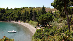 Agios Petros beach'in fotoğrafı ve güzel manzarası