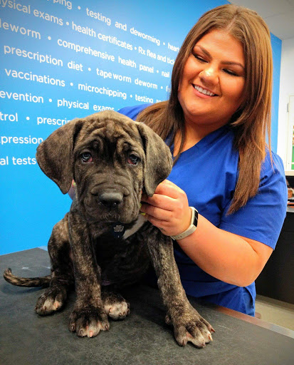 Pet Supply Store «Pet Supplies Plus», reviews and photos, 5092 Mayfield Rd, Lyndhurst, OH 44124, USA